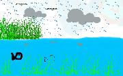 rainypond
