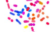jellybean2