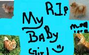 R_I_P_girly_miss_yu