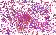 dots