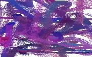 purpple
