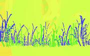 grass