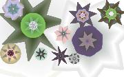 Flower_Patch_by_Brea_Gunther