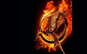 hungergamesfire