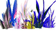 grass