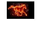 flaming horse