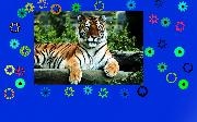 picture frame