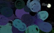 circlenight