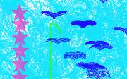starsandbirds