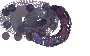 colorcoaster