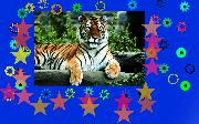 mylittlefriend