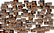 collage